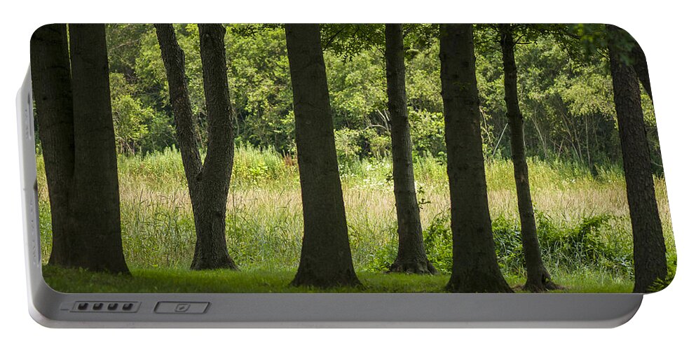 7 Trees Portable Battery Charger featuring the photograph Trunks in a row by Brian Green