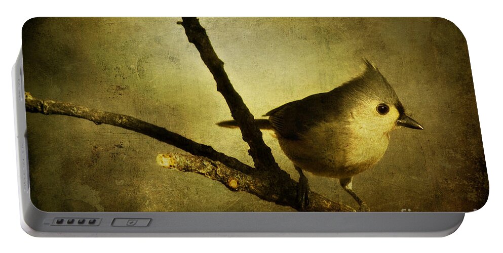 backyard Birds Portable Battery Charger featuring the photograph Tufted Titmouse - Weathered by Lana Trussell