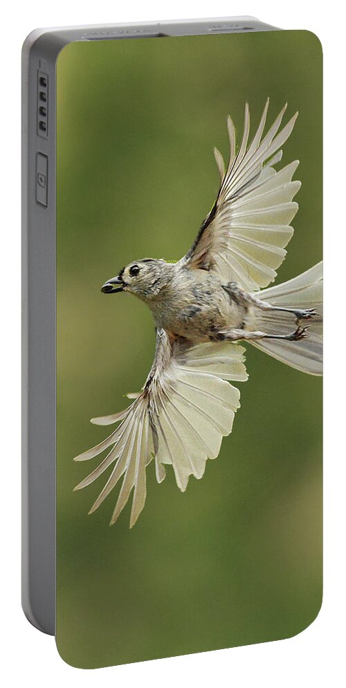 Bird Portable Battery Charger featuring the photograph Tufted Titmouse In Flight by Alan Lenk