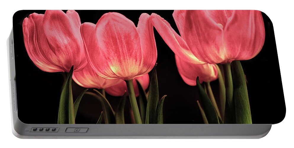 Red Tulip Portable Battery Charger featuring the photograph Tuilp by Dennis Dugan