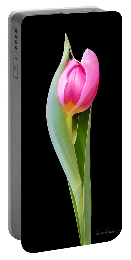 Green Portable Battery Charger featuring the photograph Tulip 5 by Kume Bryant