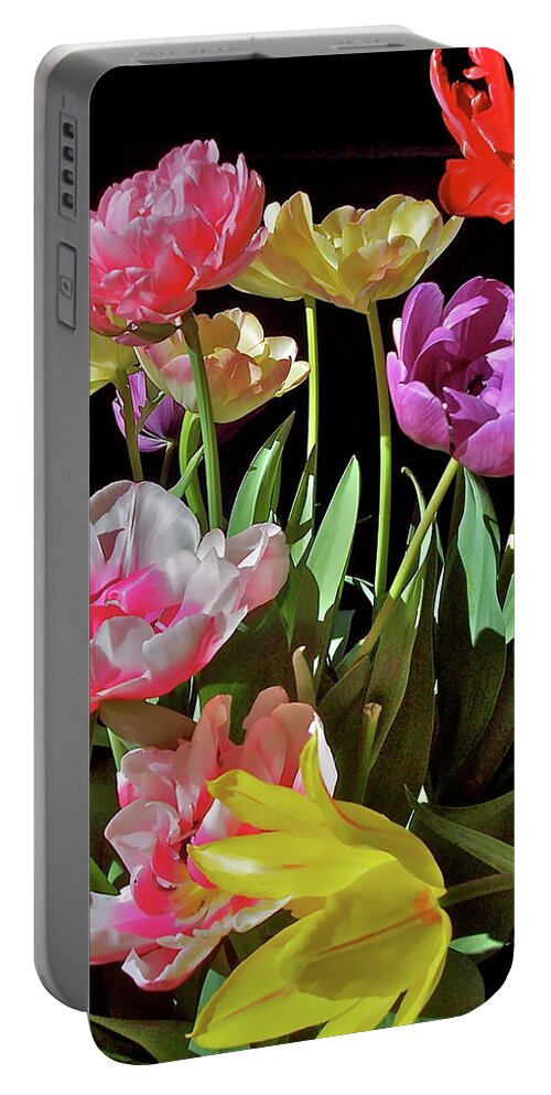 Flowers Portable Battery Charger featuring the photograph Tulip 8 by Pamela Cooper