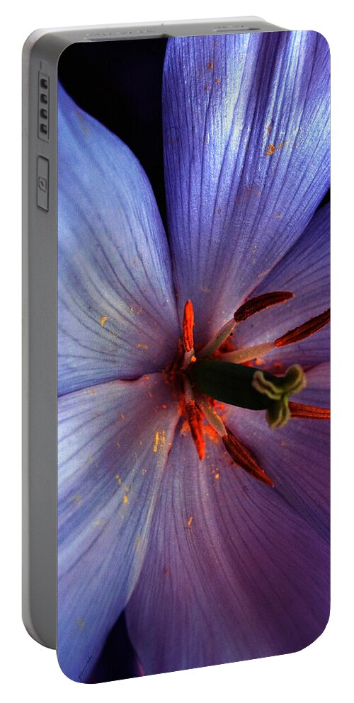 Tulip Portable Battery Charger featuring the photograph Tulip Convert by Gwyn Newcombe