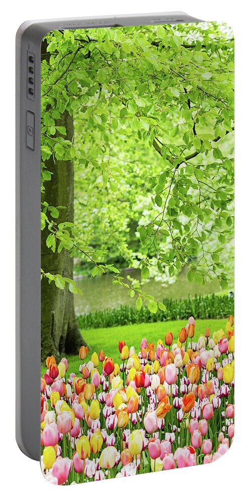 Tulips Portable Battery Charger featuring the photograph Tulip Garden - Amsterdam by Melanie Alexandra Price