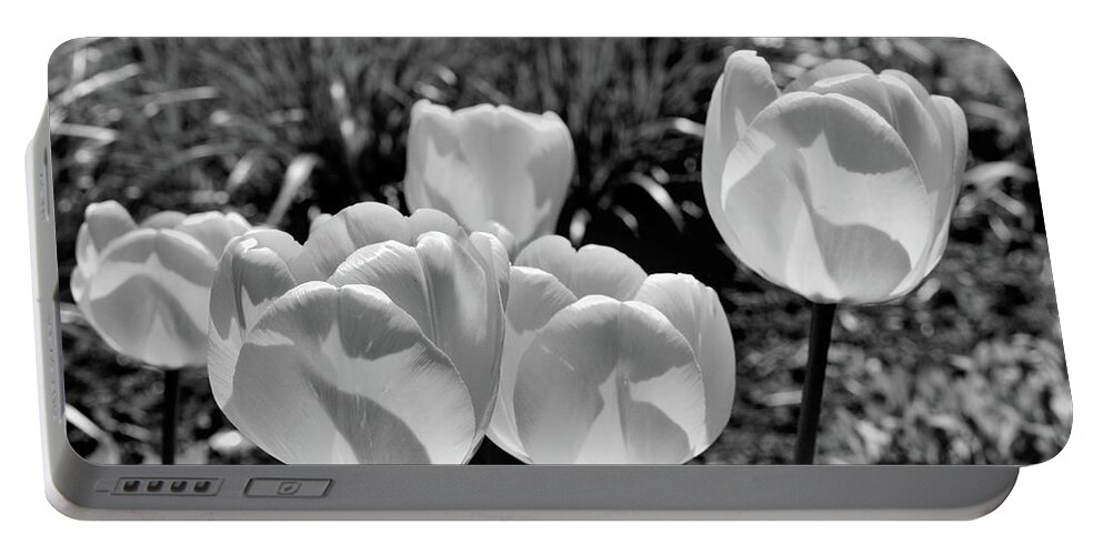 Black And White Portable Battery Charger featuring the photograph Tulips 2 by Lyle Crump