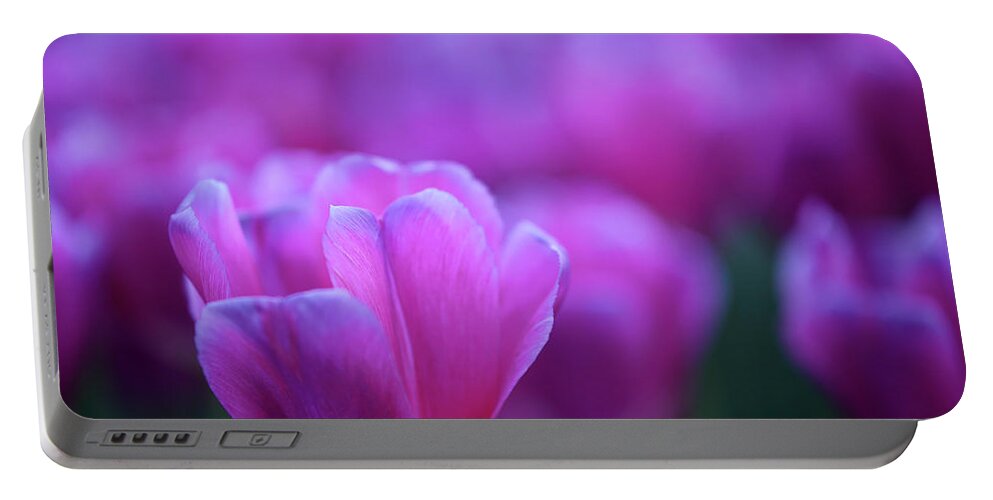 Tulips Portable Battery Charger featuring the photograph Tulips #693 by Carien Schippers