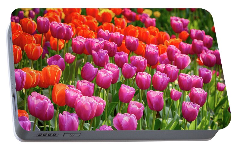 Tulips Portable Battery Charger featuring the photograph Tulips Mean Spring by Mary Jo Allen