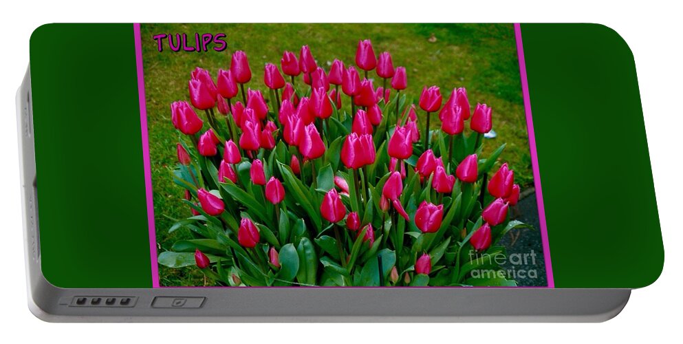 Bright Pink Tulips Portable Battery Charger featuring the photograph Tulips Poster by Joan-Violet Stretch