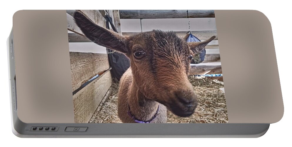 Goat Portable Battery Charger featuring the photograph Tuned In by Dani McEvoy