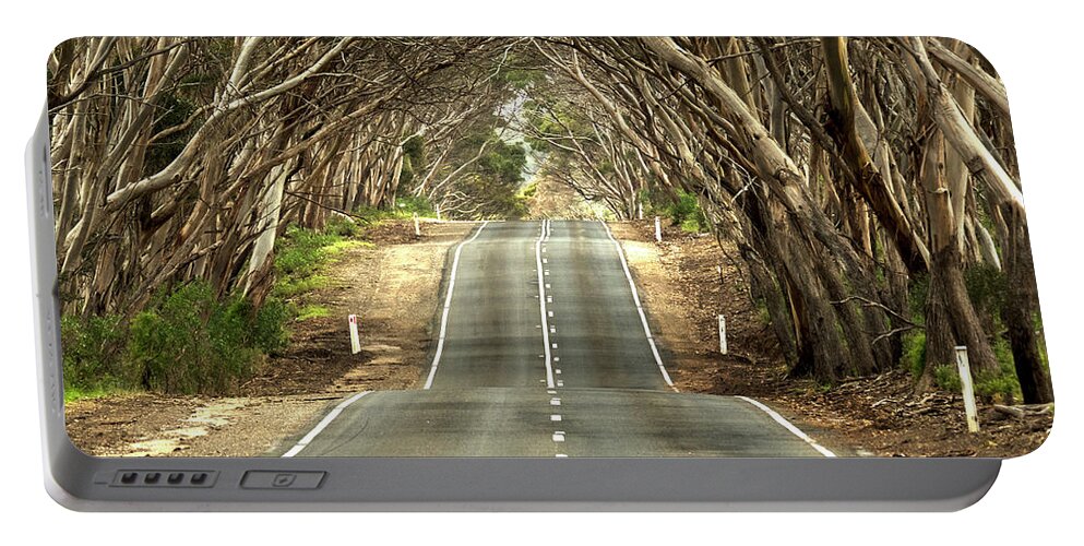 Road Portable Battery Charger featuring the photograph Tunnel of Trees by Catherine Reading