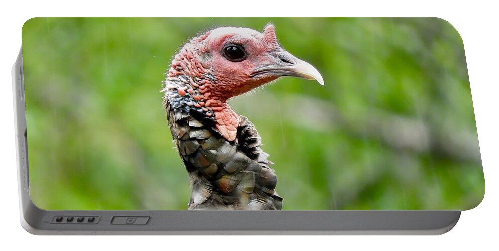 Turkey Portable Battery Charger featuring the photograph Turkey in the Rain by Beth Myer Photography