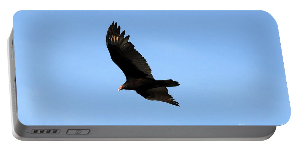 Turkey Vulture Portable Battery Charger featuring the photograph Turkey Vulture by David Lee Thompson