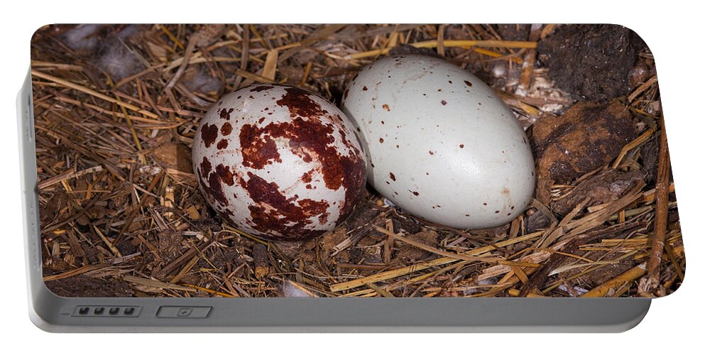 Wildlife Portable Battery Charger featuring the photograph Turkey Vulture Eggs by Jeff Phillippi