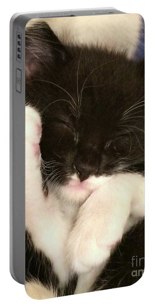 Tuxedo Kilten Portable Battery Charger featuring the photograph Tuxedo Kitten Snoozing by Cindy Schneider