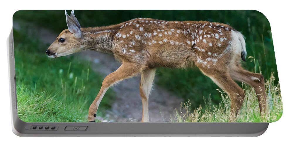 Mule Deer Fawn Portable Battery Charger featuring the photograph Twilight Fawn #4 by Mindy Musick King
