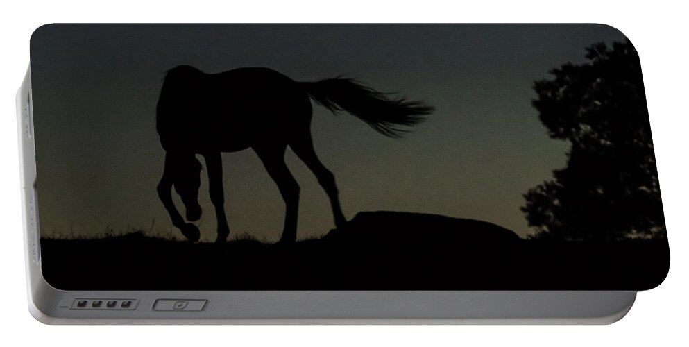 Twilight Portable Battery Charger featuring the photograph Twilight horse by Torbjorn Swenelius