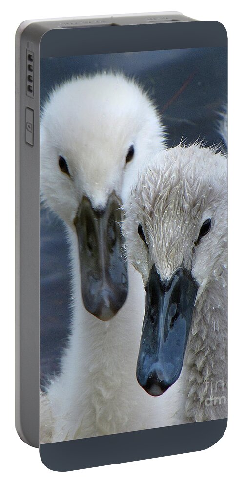 Swans Portable Battery Charger featuring the photograph Twin Cuteness by Lori Lafargue