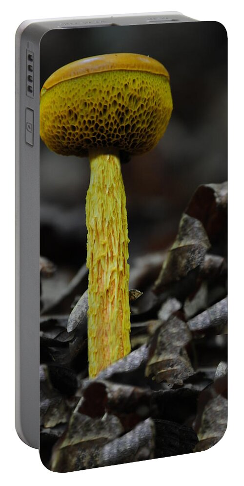Mushroom Portable Battery Charger featuring the photograph Two Colored Bolete by Eric Liller