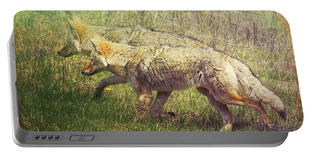 Animal Portable Battery Charger featuring the photograph Two Coyotes by Natalie Rotman Cote