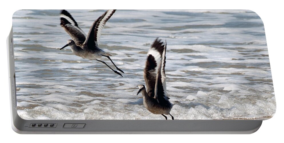 Birds Portable Battery Charger featuring the photograph Outer Banks OBX #8 by Buddy Morrison