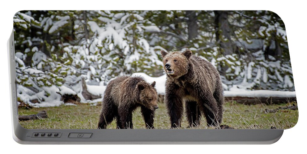 Bears Portable Battery Charger featuring the photograph Two Grizzly Bears by Scott Read