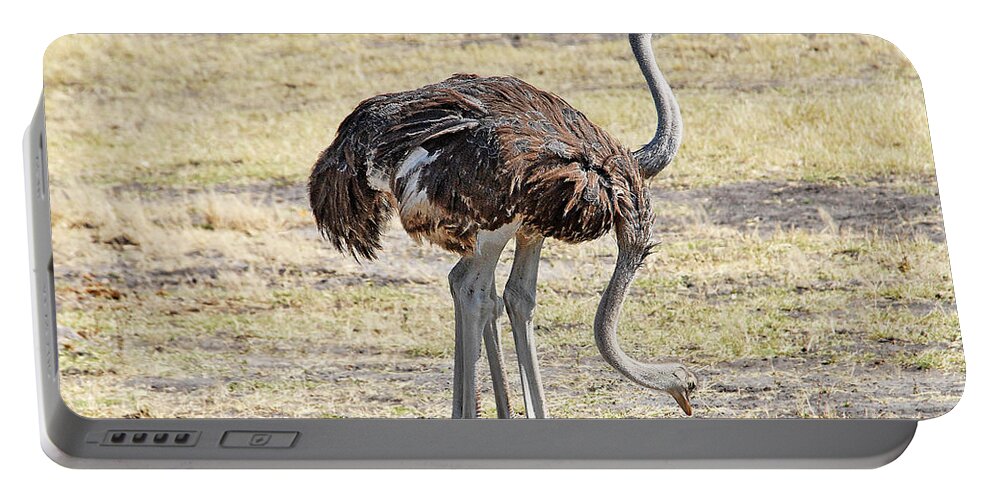 Ostrich Portable Battery Charger featuring the photograph Two-Headed Ostrich by Ted Keller