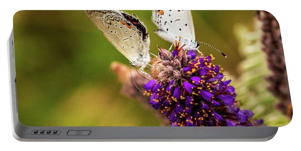 Jay Stockhaus Portable Battery Charger featuring the photograph Two on a Flower by Jay Stockhaus