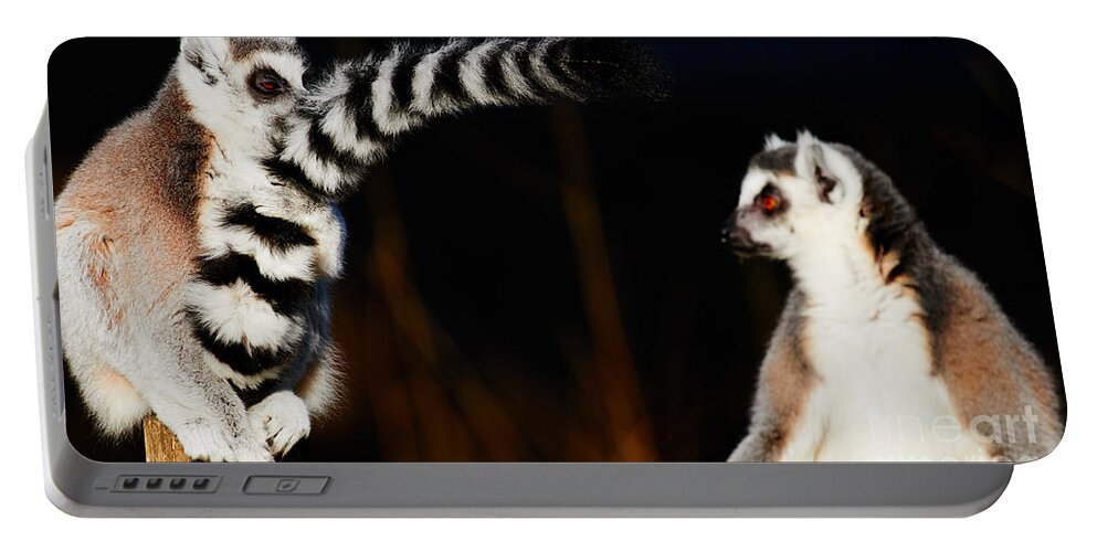Animal Portable Battery Charger featuring the photograph Two Ring-tailed lemurs by Nick Biemans