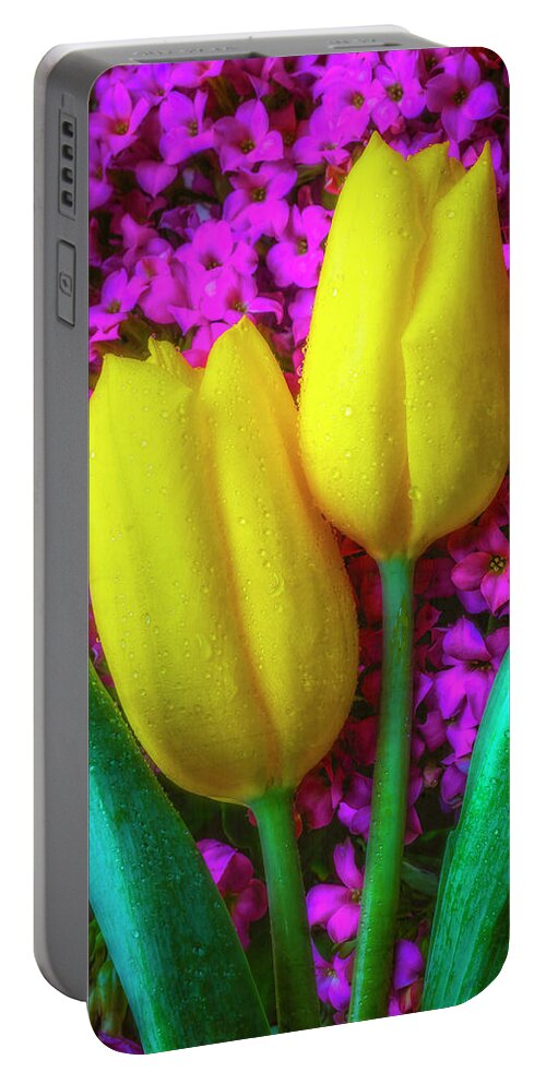 Yellow Portable Battery Charger featuring the photograph Two Tulips With kalanchoe Flowers by Garry Gay