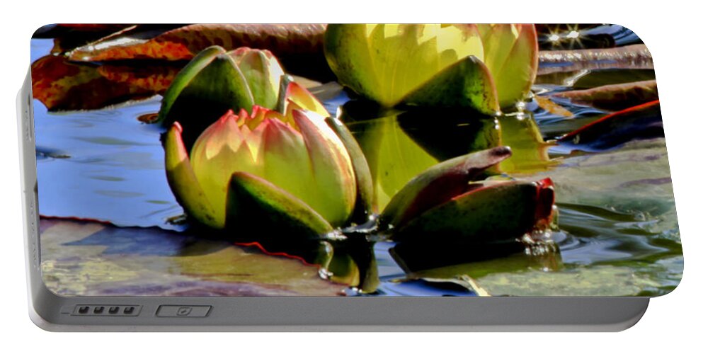 Waterlily Portable Battery Charger featuring the photograph Two Water Lilies by Carol F Austin