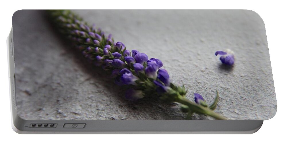 Violet Portable Battery Charger featuring the photograph Ultra Violet Buds by Lynn England