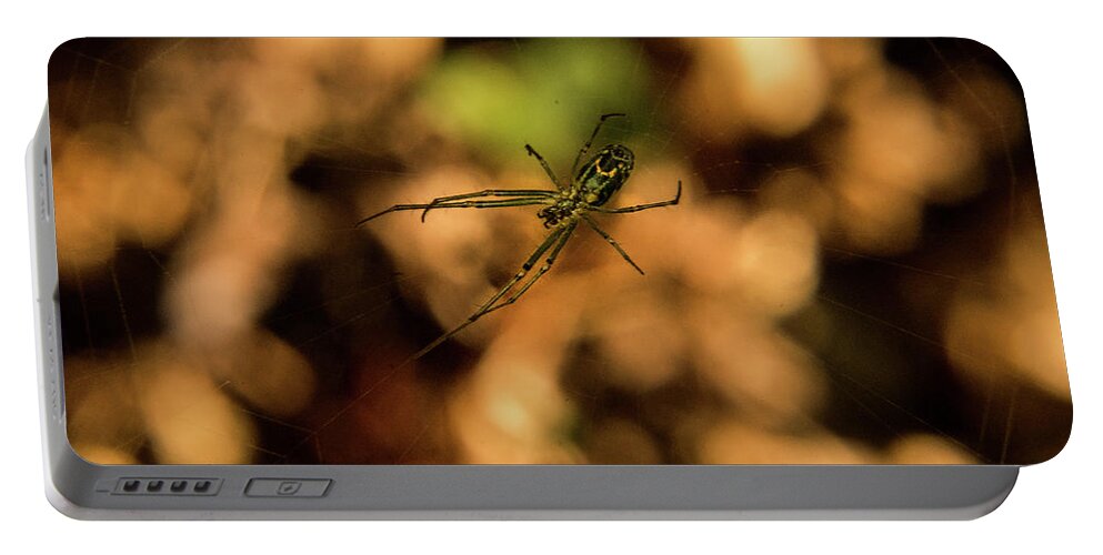 Orchard Portable Battery Charger featuring the photograph Underside of Leucauge Suspended in Web by Douglas Barnett