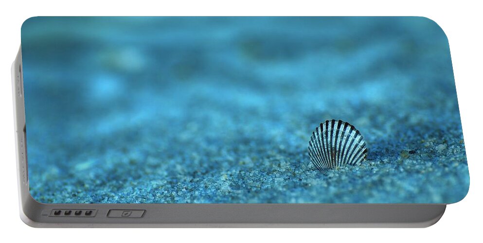 Seashells Portable Battery Charger featuring the photograph Underwater Seashell - Jersey Shore by Angie Tirado