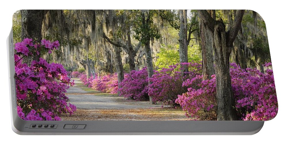 Road Portable Battery Charger featuring the photograph Unpaved road with Azaleas and Oaks by Bradford Martin