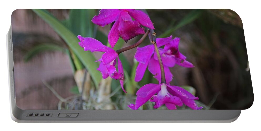Orchid Portable Battery Charger featuring the photograph Unraveling the Pieces by Michiale Schneider
