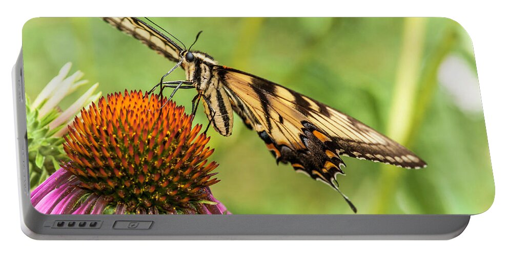 Butterfly Portable Battery Charger featuring the photograph Untitled Butterfly by Paul Vitko