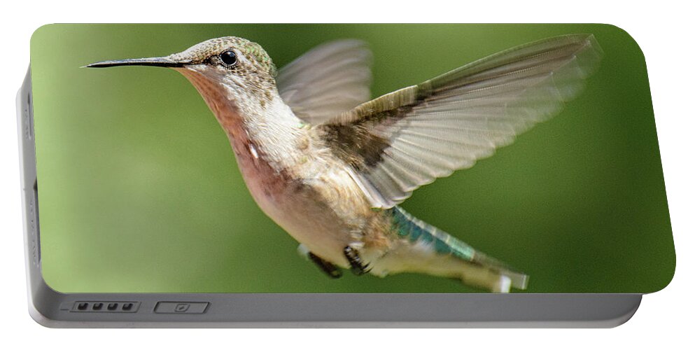Hummingbird Portable Battery Charger featuring the photograph Untitled Hum_bird_two by Paul Vitko