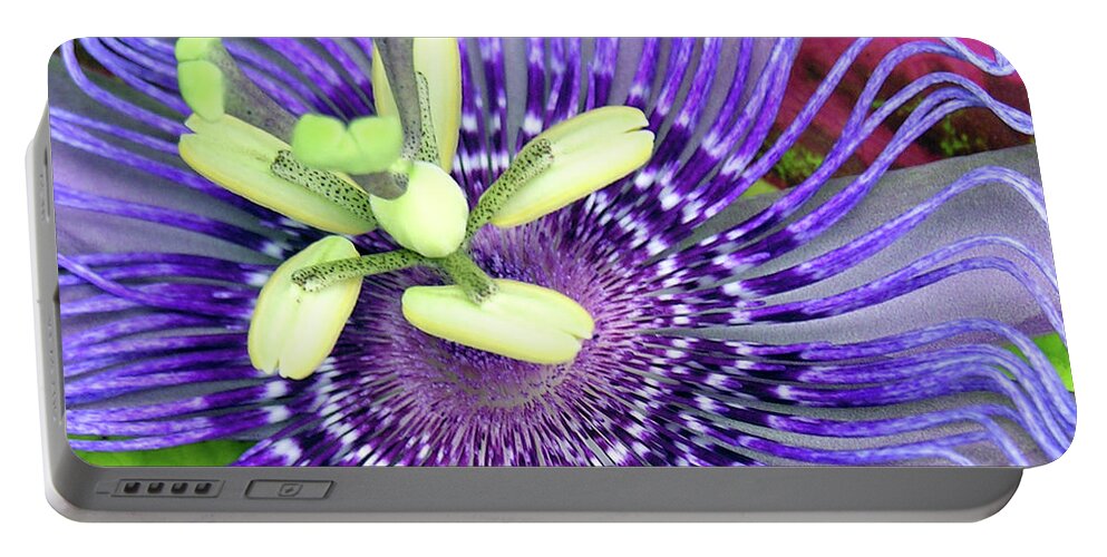 Nature Portable Battery Charger featuring the photograph Up Close 1 by Adam Vance