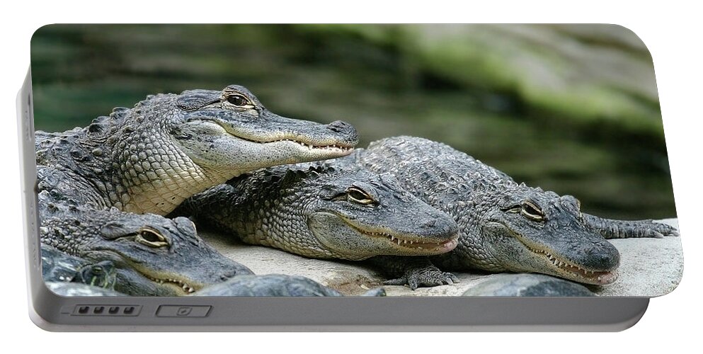 Alligator Portable Battery Charger featuring the photograph Up to No Good by Anthony Jones