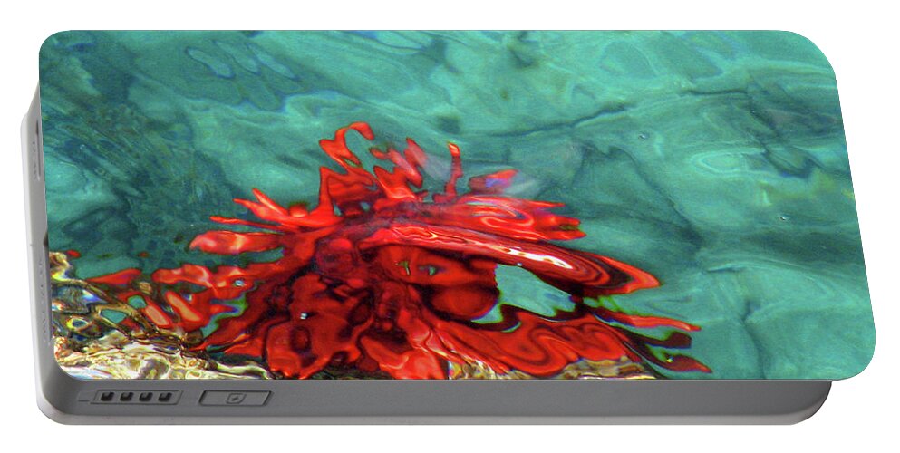 Urchin Portable Battery Charger featuring the photograph Urchin Abstract by Ted Keller