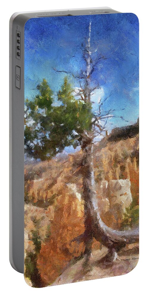 Utah Portable Battery Charger featuring the photograph Utah Trees Bryce Canyon National Park 08 A PA Vertical by Thomas Woolworth