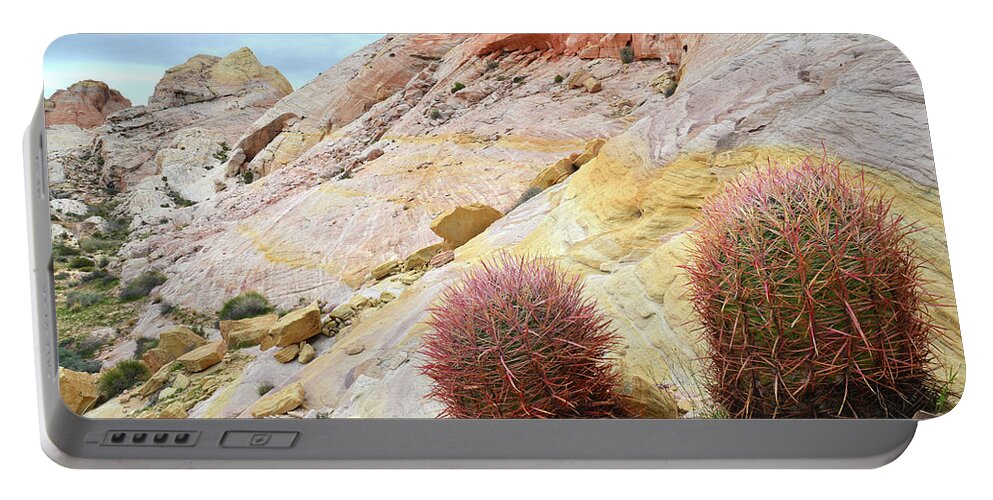 Valley Of Fire State Park Portable Battery Charger featuring the photograph Valley of Fire Barrel Cactus by Ray Mathis