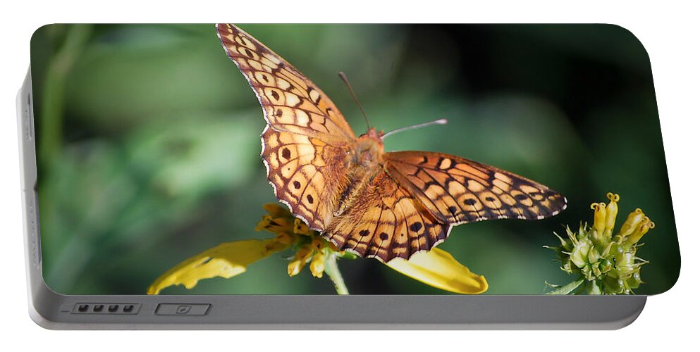 Butterfly Portable Battery Charger featuring the photograph Variegated Fritillary Butterfly by Kerri Farley