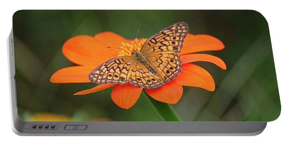 Variegated Fritillary Butterfly Portable Battery Charger featuring the photograph Variegated Fritillary on flower by Ronda Ryan