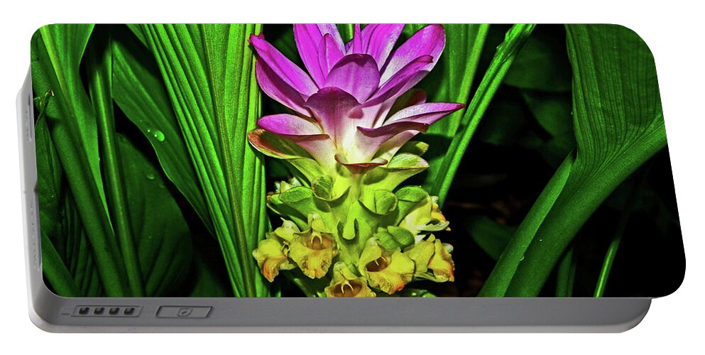Hidden Lily Portable Battery Charger featuring the photograph Variegated Hidden Ginger 001 by George Bostian