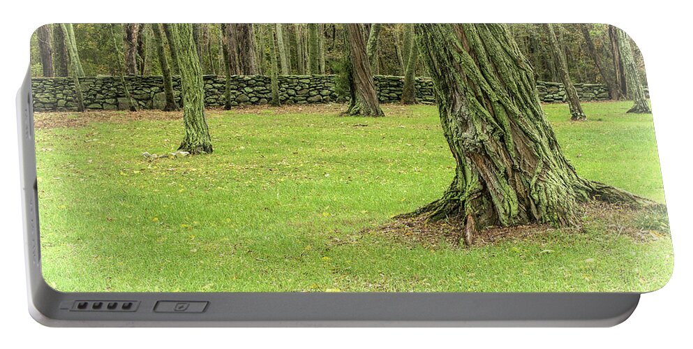 Stone Wall Portable Battery Charger featuring the photograph Venerable Trees and a Stone Wall by Nancy De Flon