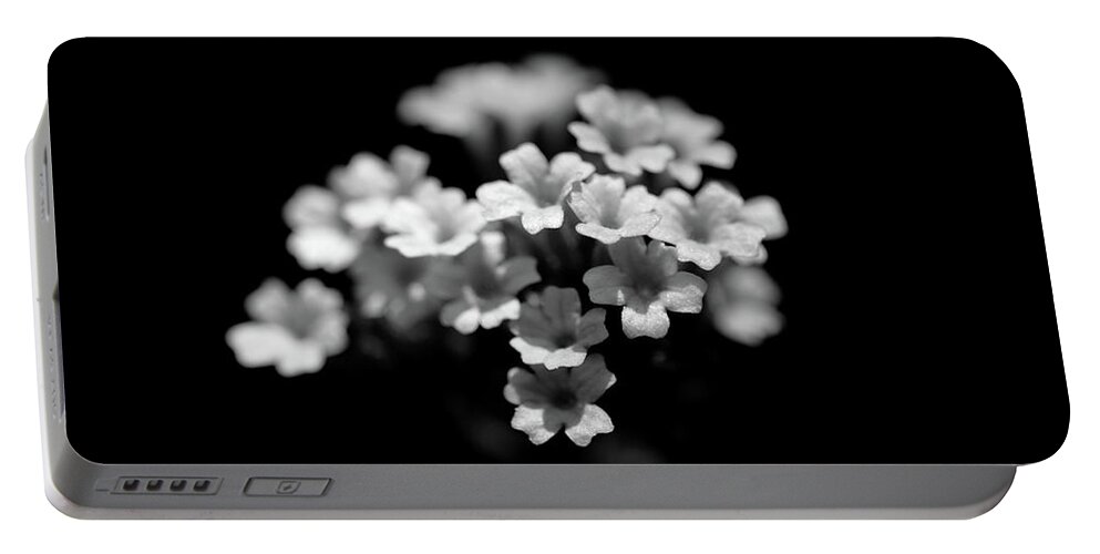 Verbena Flower Monochrome Portable Battery Charger featuring the photograph Verbena by Ian Sanders
