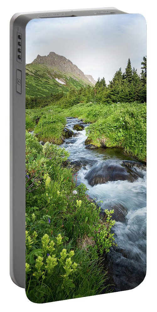 Alaska Portable Battery Charger featuring the photograph Verdant Mountain Stream by Tim Newton