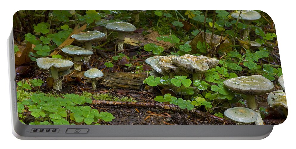 Verdigris Agaric Portable Battery Charger featuring the photograph Verdigris Agaric by Steen Drozd Lund