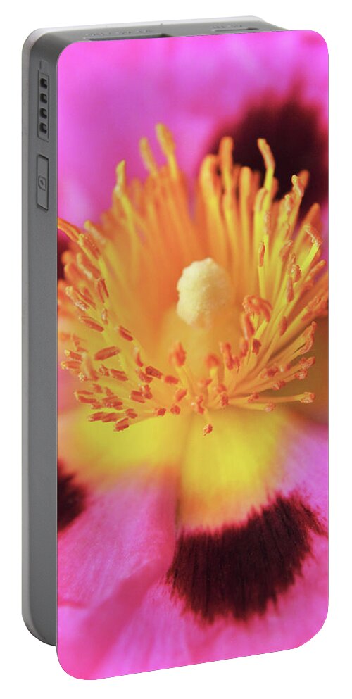 Cistus Portable Battery Charger featuring the photograph Vibrant Cistus Heart. by Terence Davis